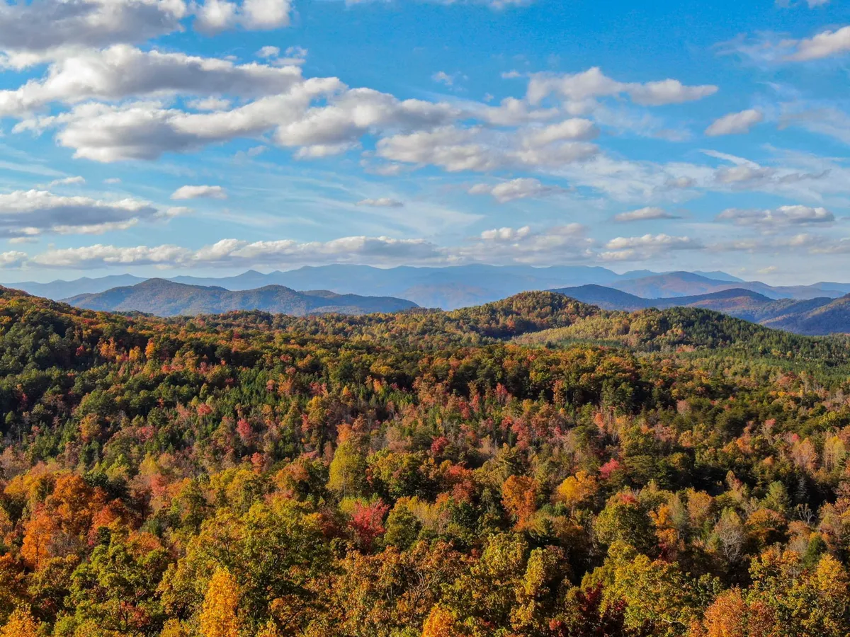 A breathtaking view of vibrant autumn foliage, rolling mountain ranges, and a dramatic, cloud-filled sky. This scenic vista captures the essence of mountain exploration and the area's natural beauty, inviting guests to venture out on hikes or simply enjoy the views with their pets.